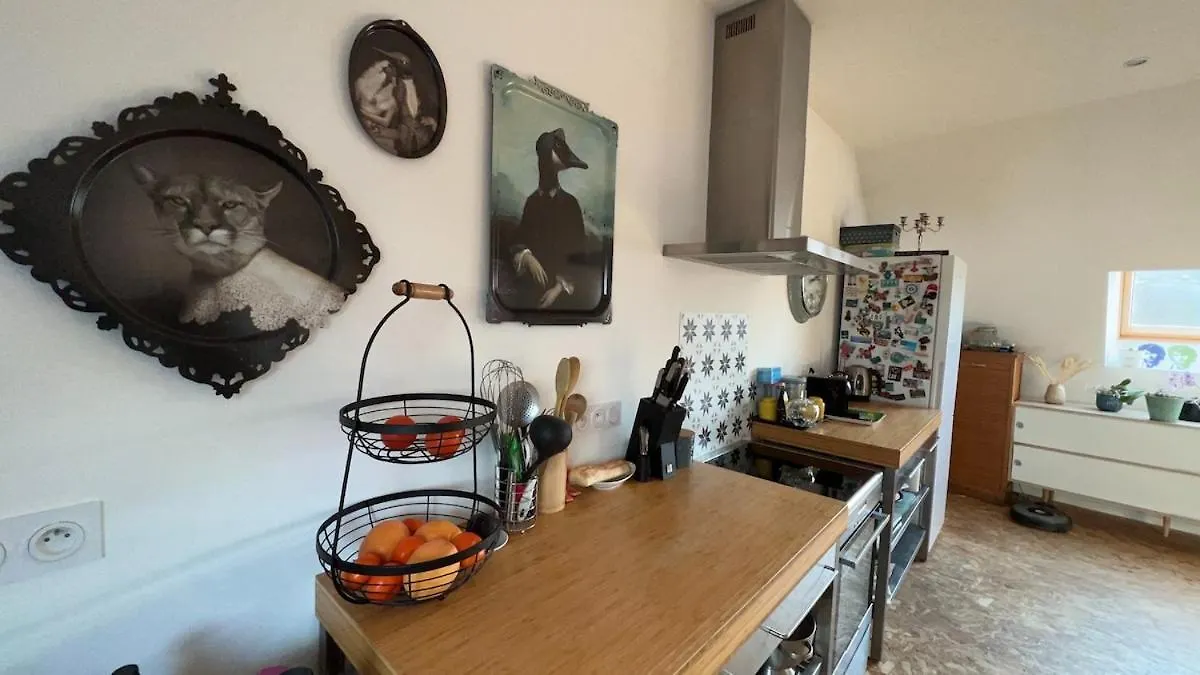 Apartamento Superbe Loft Atypique 6P Auray